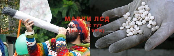 ПСИЛОЦИБИНОВЫЕ ГРИБЫ Волосово