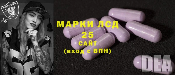 ПСИЛОЦИБИНОВЫЕ ГРИБЫ Волосово
